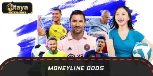 Moneyline Odds – How To Read And Calculate Your Payouts